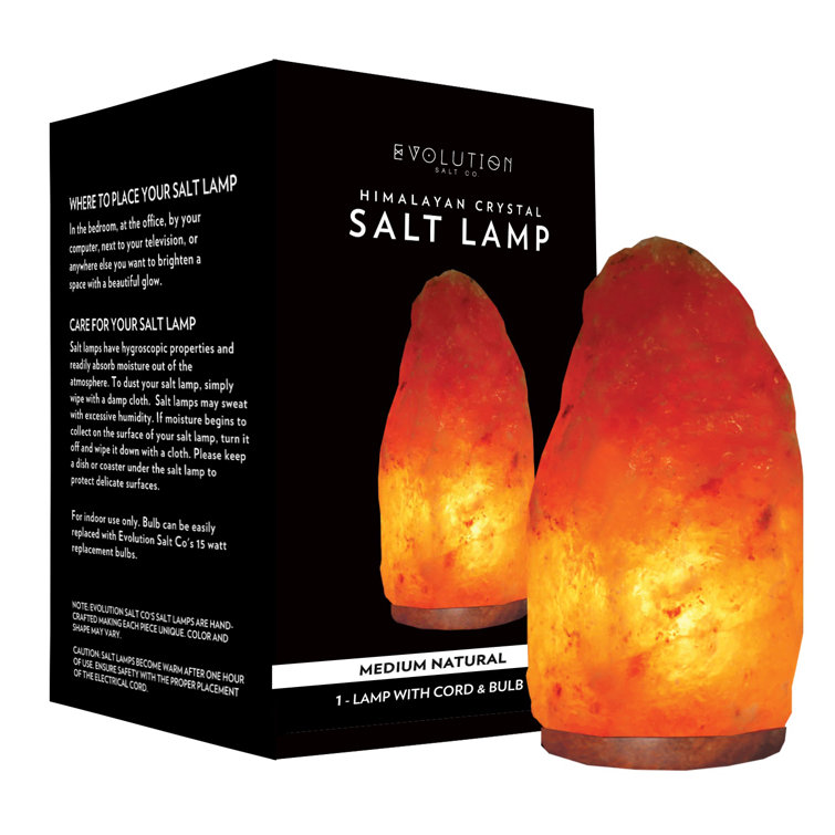 Evolution Salt Co 10 Lb. Novelty Humor Themed Salt Lamp Wayfair